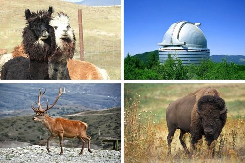 Azerbaijan Safari Tour – Shamakhi Wildlife Experience
